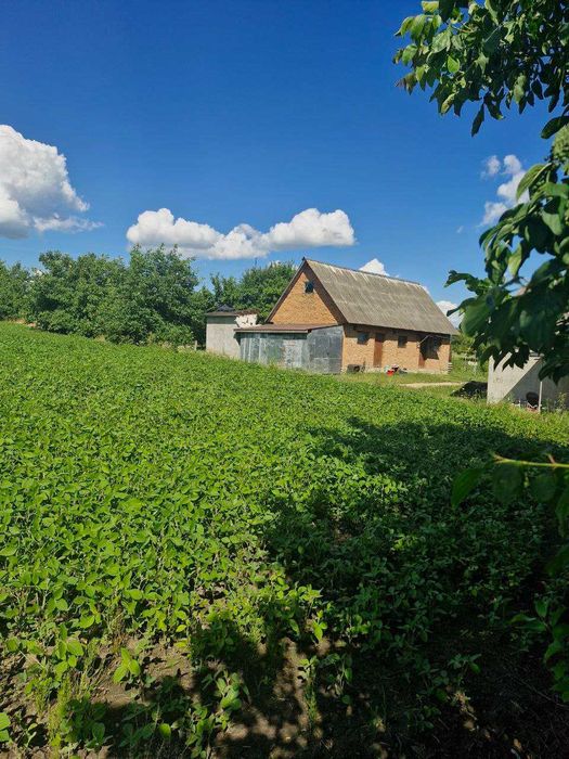 Земля Ярмолинці, 25 соток, під забудову Хмельницька обл.