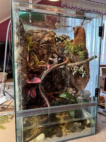 Paludarium, terrarium, akwarium