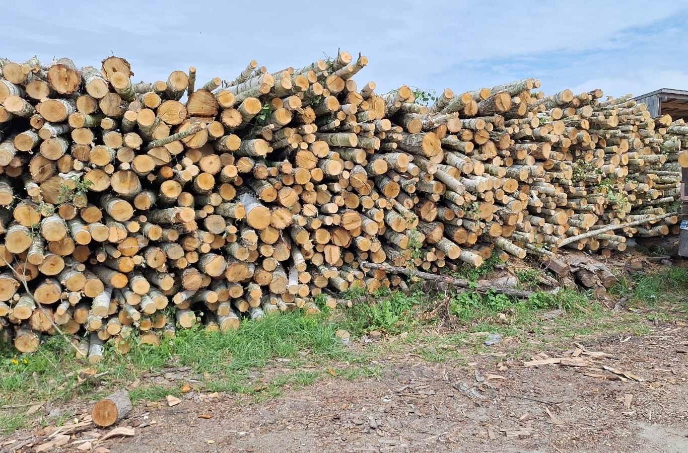 Дрова нерубані і рубані вільха,береза,дуб  2метровкі опт.
