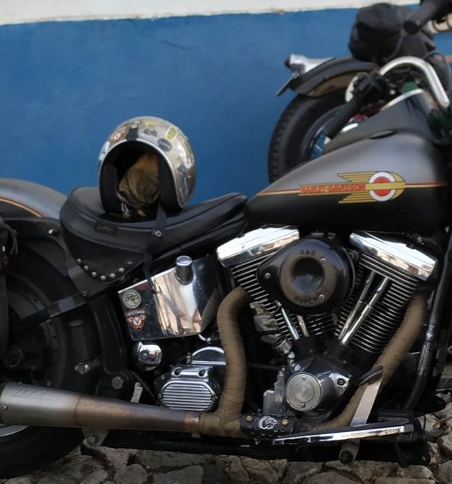 Banco Le Pera para Harley Davidson