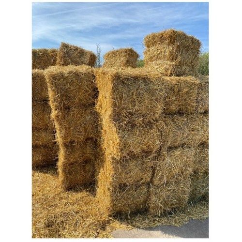 Солома в тюках ячнева