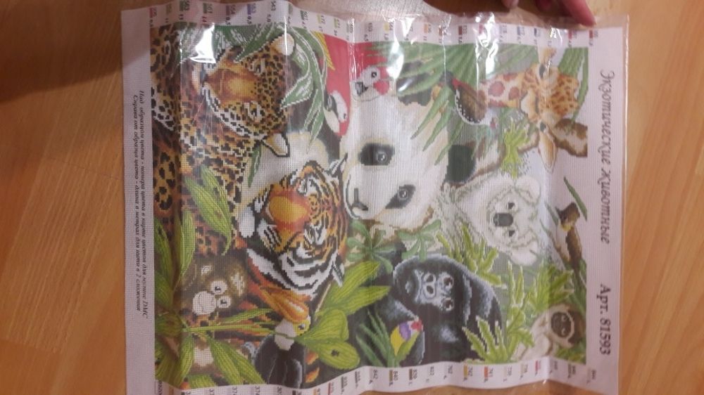 Канва с нанесённым рисунком