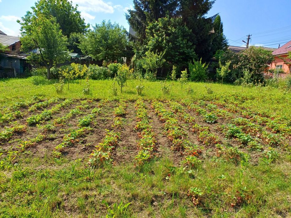 Продаж будинку на Дубово.