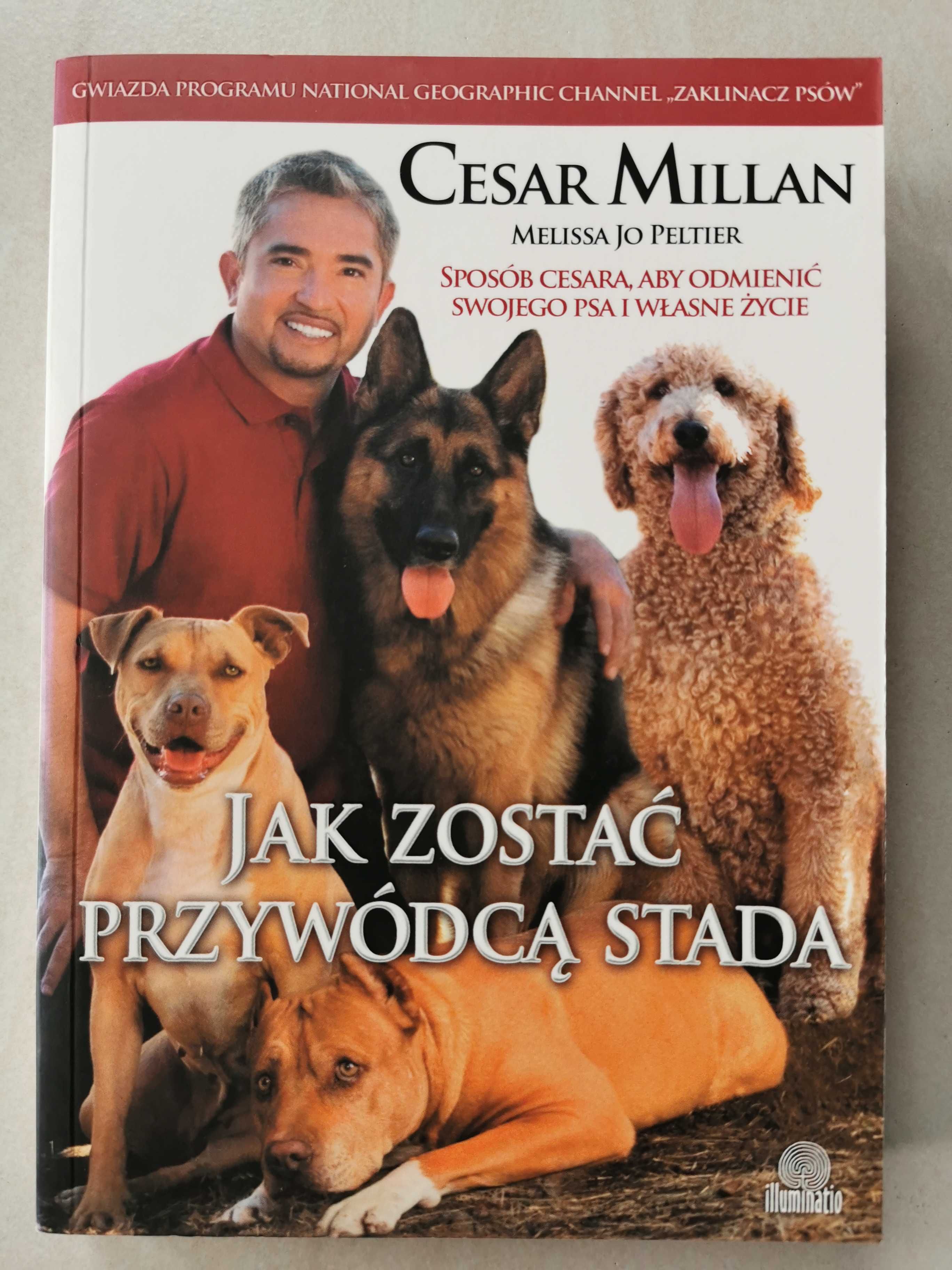 Książka Jak zostać przywódcą stada" Cesar Millan, Melissa Jo Peltier