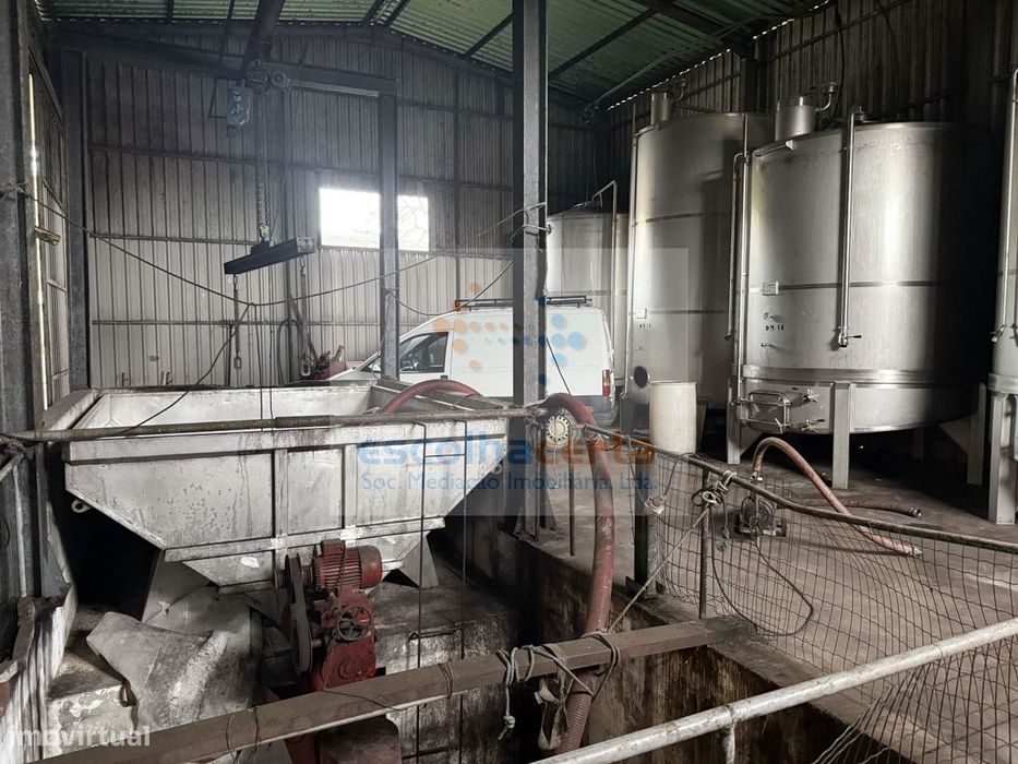 Imóvel único no mercado, adega com produção de vinhos e casa de