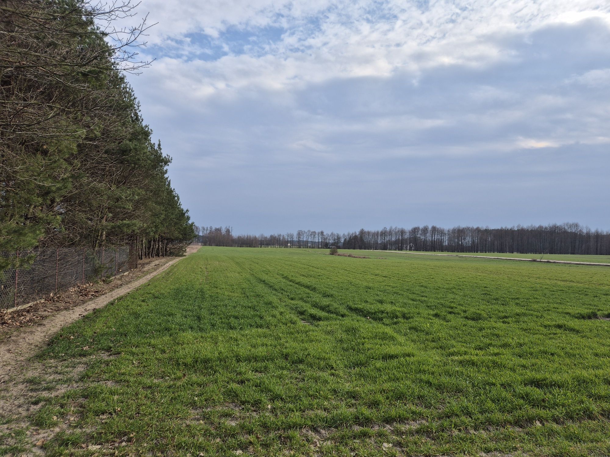 Działki budowlane Gulczewo ul. Centralna