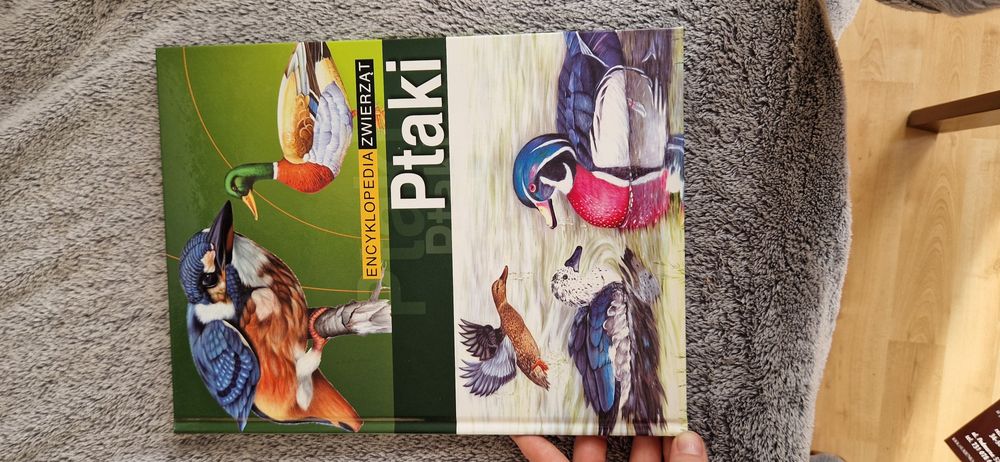 Encyklopedia zwierząt ptaki