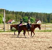 Klacz - rekreacja, sport, odznaki, Filmik