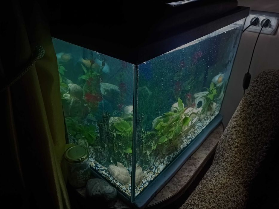 Акваріум 70 літрів