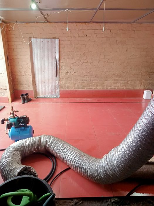 Химчистка стаціонарна: килими, м'які меблі,, автомобілі