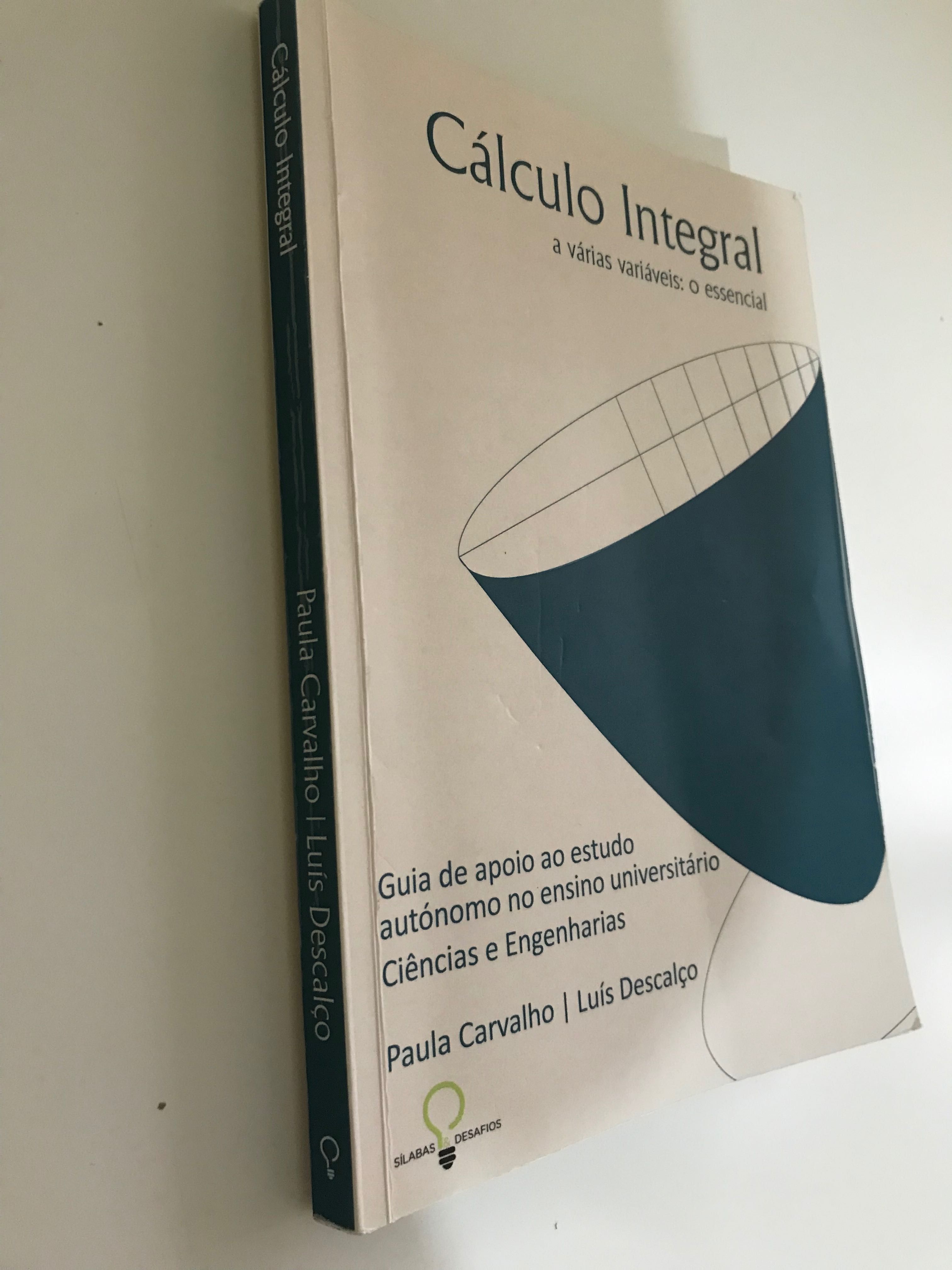 Livro: Cálculo Integral - a várias variáveis: o essencial