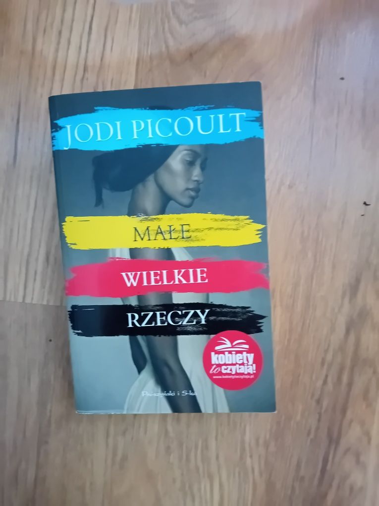 Jodi Picoult książki 2 sztuki
