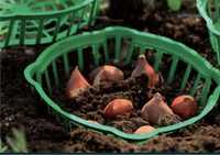 Koszyczek do sadzenia cebul 30 owalny zielony 15 szt