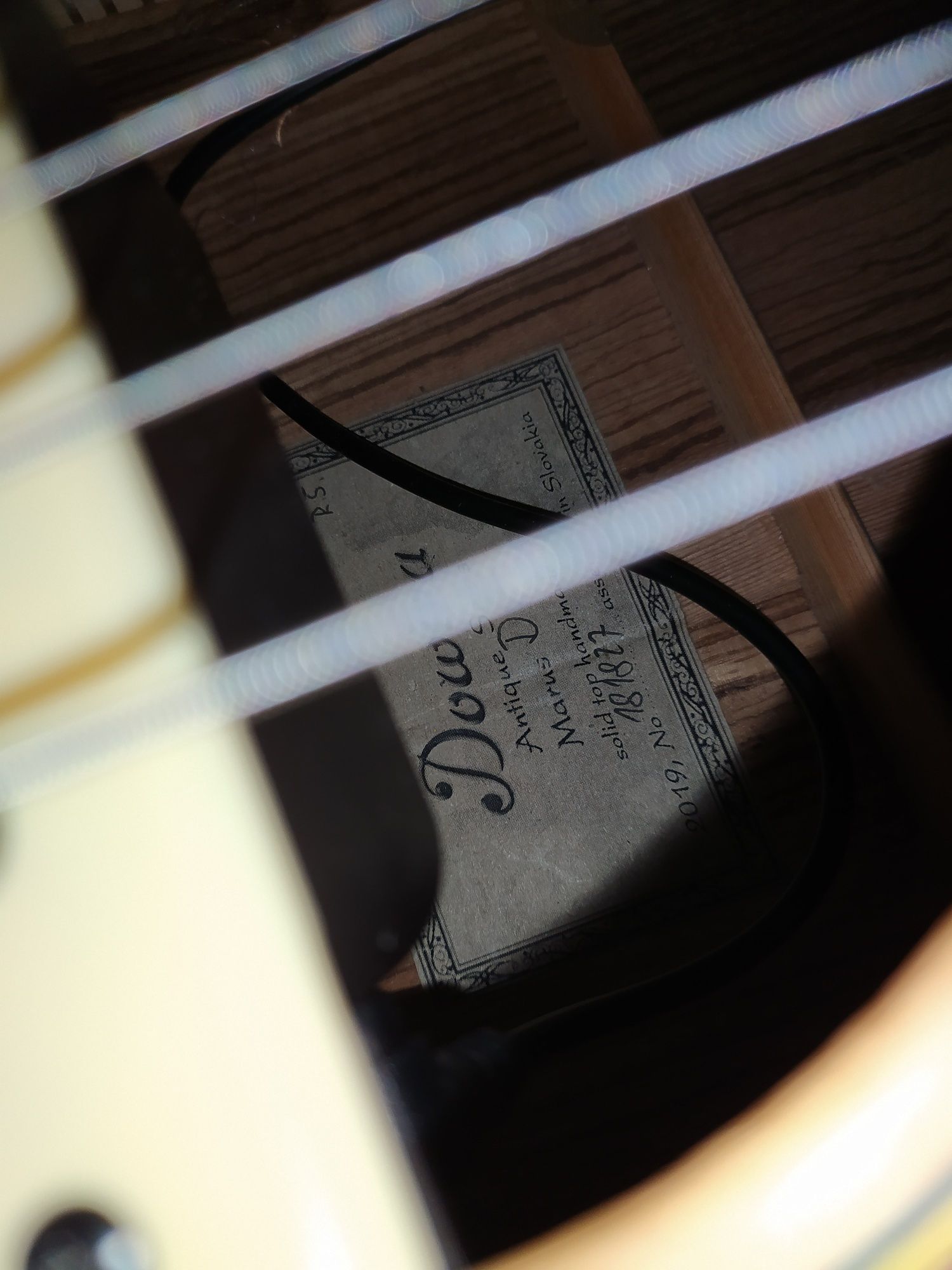 Gitara  Dowina Marus D z fishmann neo