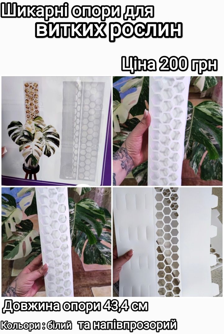 Мохові стійки для рослин