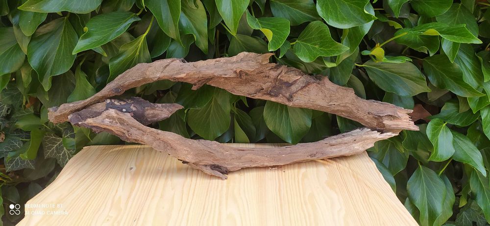 Bardzo duże drewno do akwarium-60 cm+ grati mech