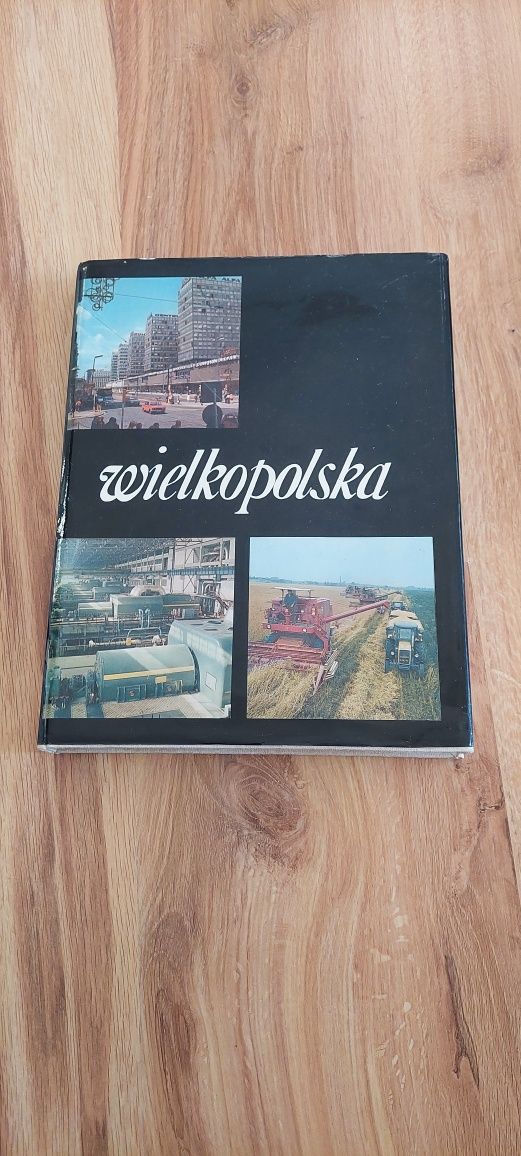 Książka Wielkopolska. Ciekawe fotografie
