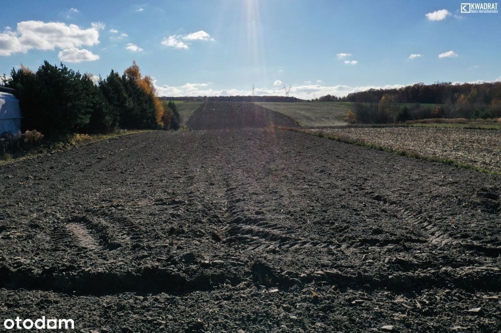 Działka 2660 m2, Polanówka, g. Strzyżewice