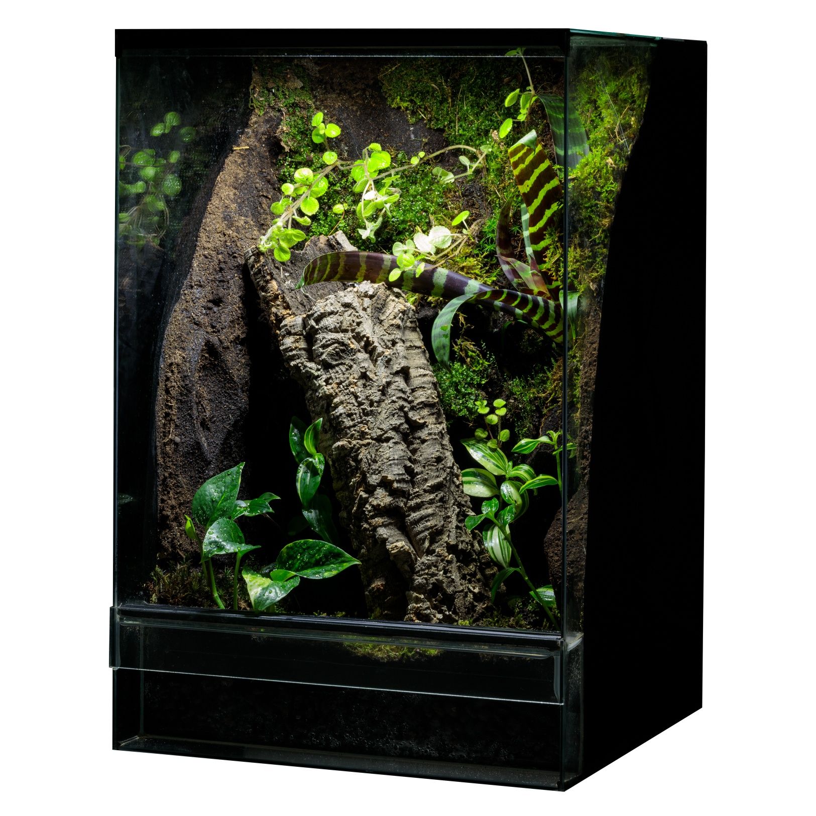 Terrarium 40x40x60