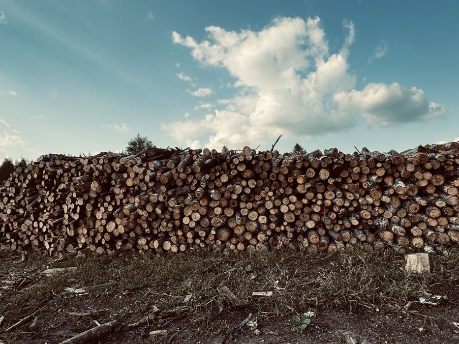 Sprzedam  opał/drewno