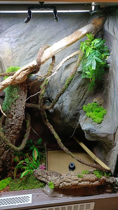 Terrarium tropikalne 120x160x60