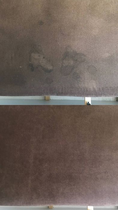 Хімчистка мʼяких меблів