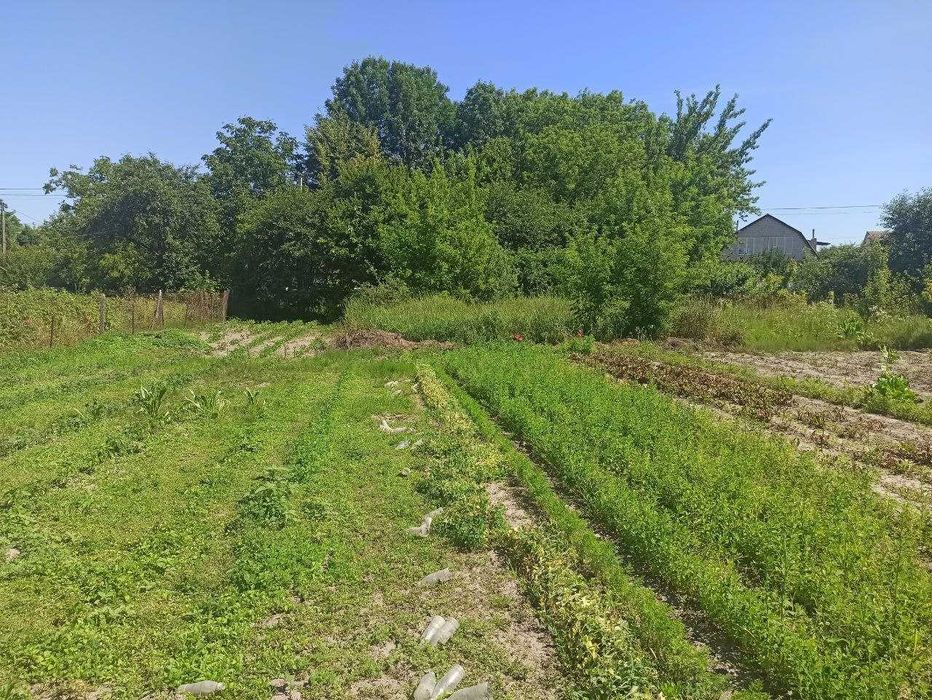 Продається земельна ділянка в селищі Літин 5827