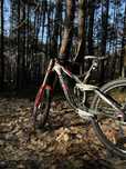 Trek Session 8 downhill