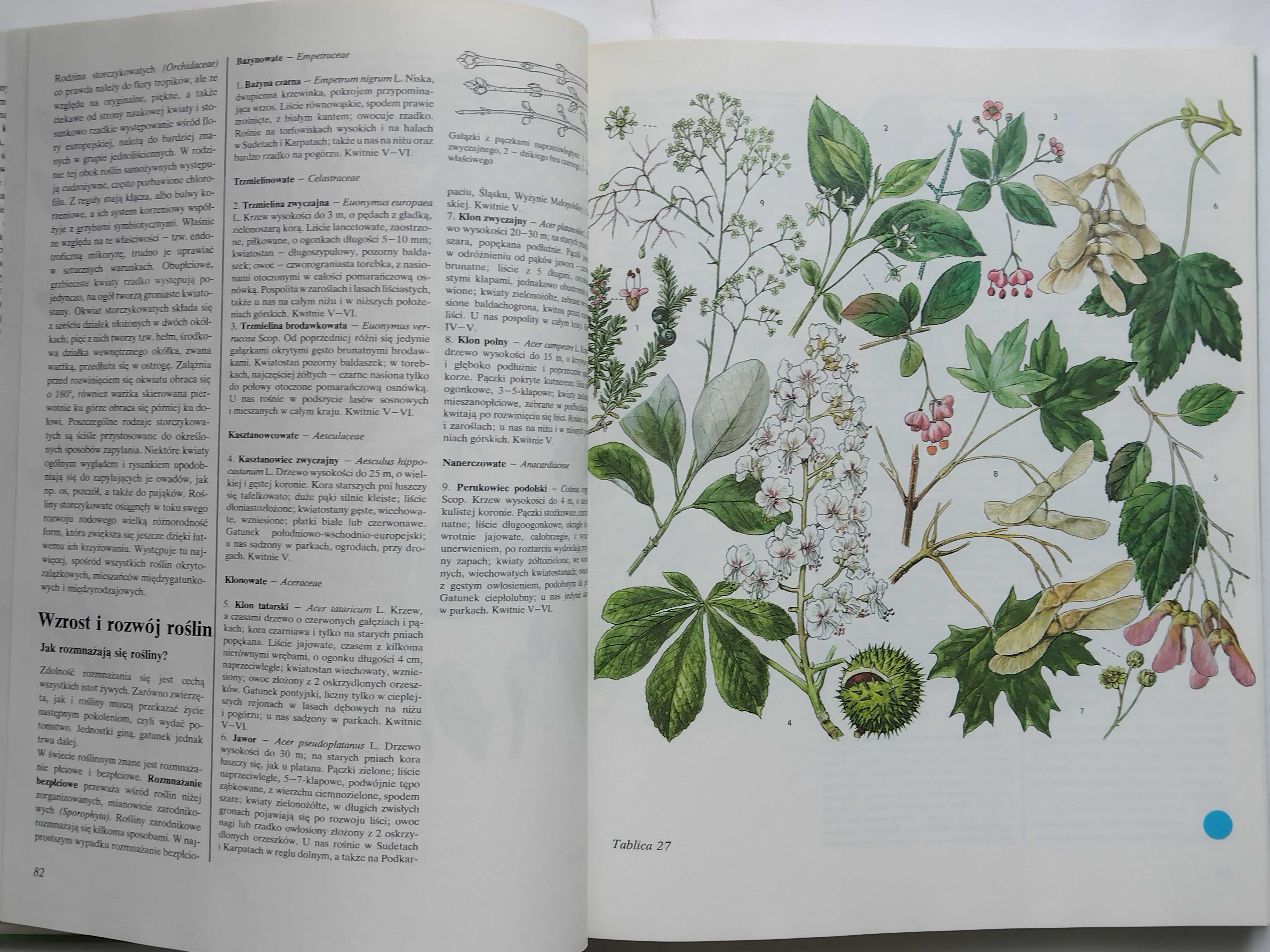 Świat Roślin Skał i Minerałów - 1990 r