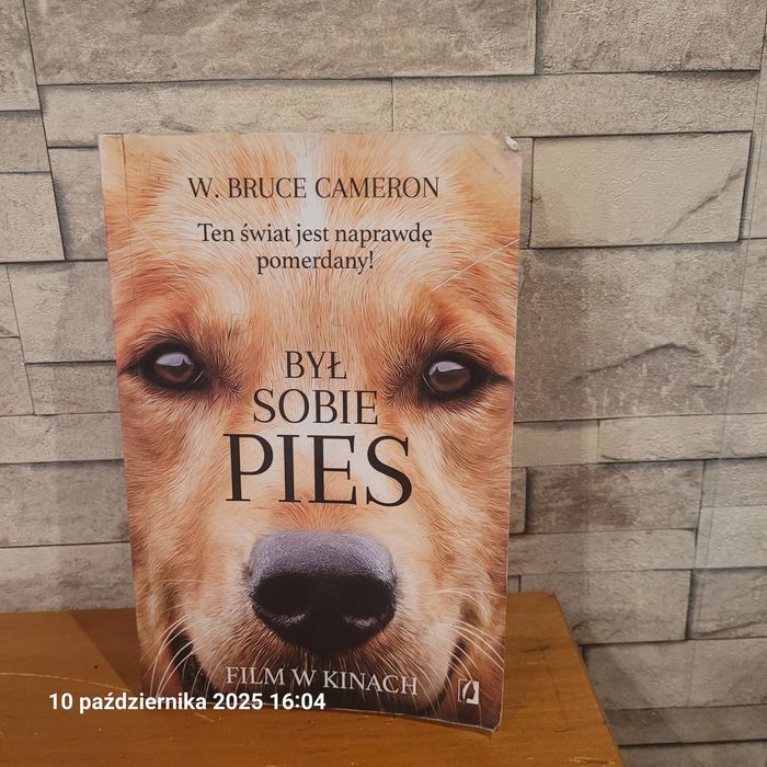 Był sobie pies W. Bruce Cameron