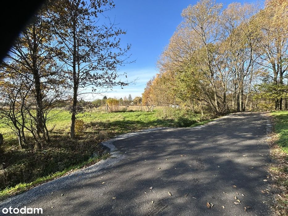 Działka budowlana 900m² z mediami, blisko lasu Pogwizdów pow. Cieszyn