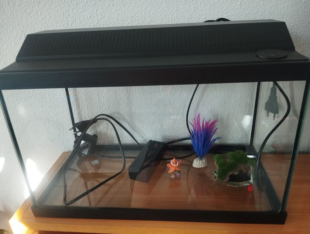 Aquário com luz led