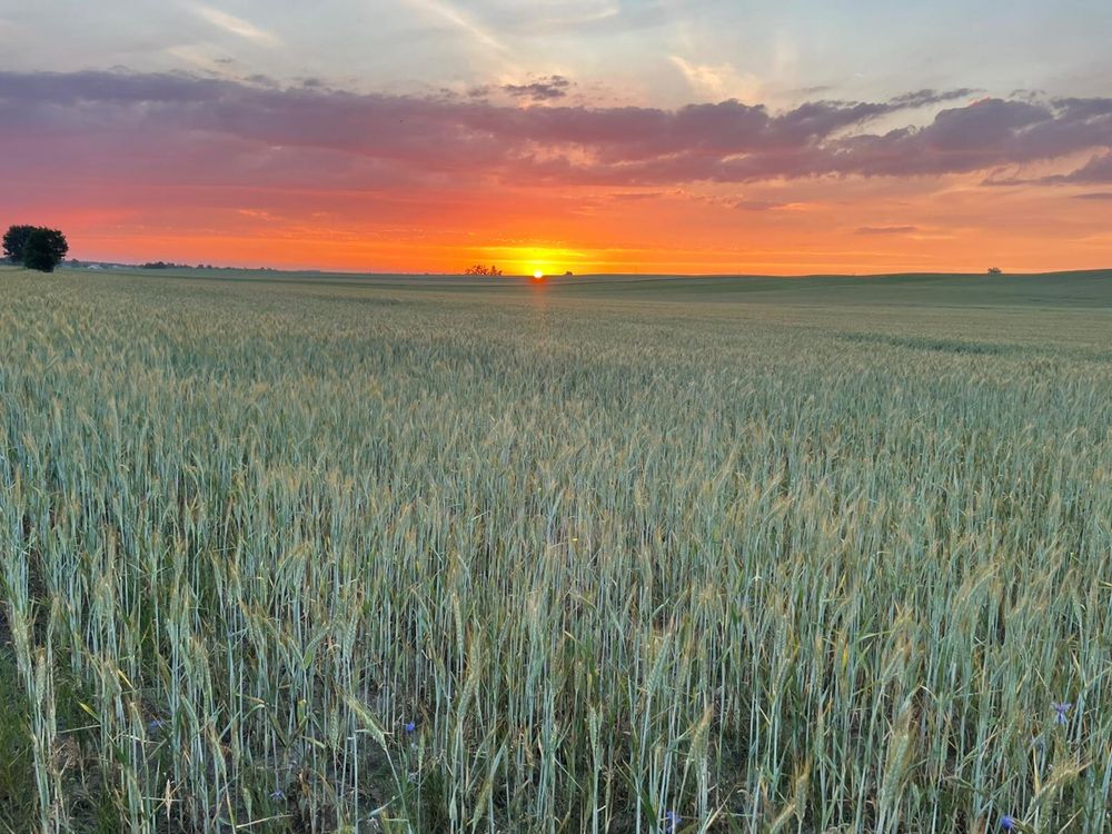 Agroturystyka „POD HIGHLANDEM”