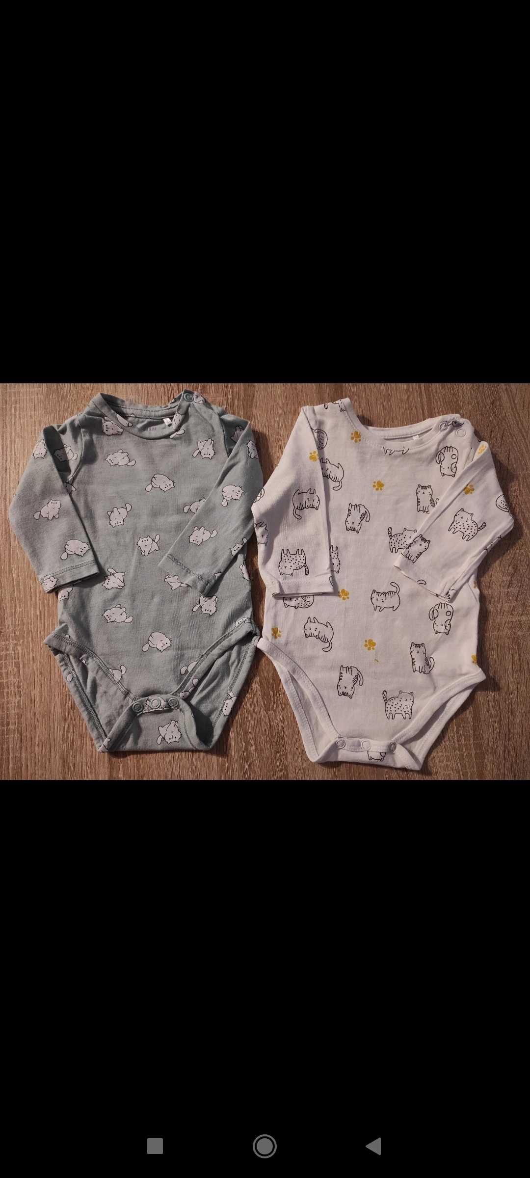 Zestaw kotki body legginsy bluzka Reserved 5.10.15 Fox&bunny