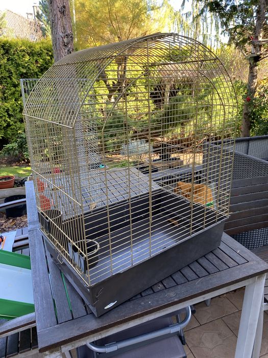 Dyza klatka dla ptaków i nietylko