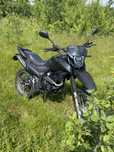 Shineray XY250GY-6C