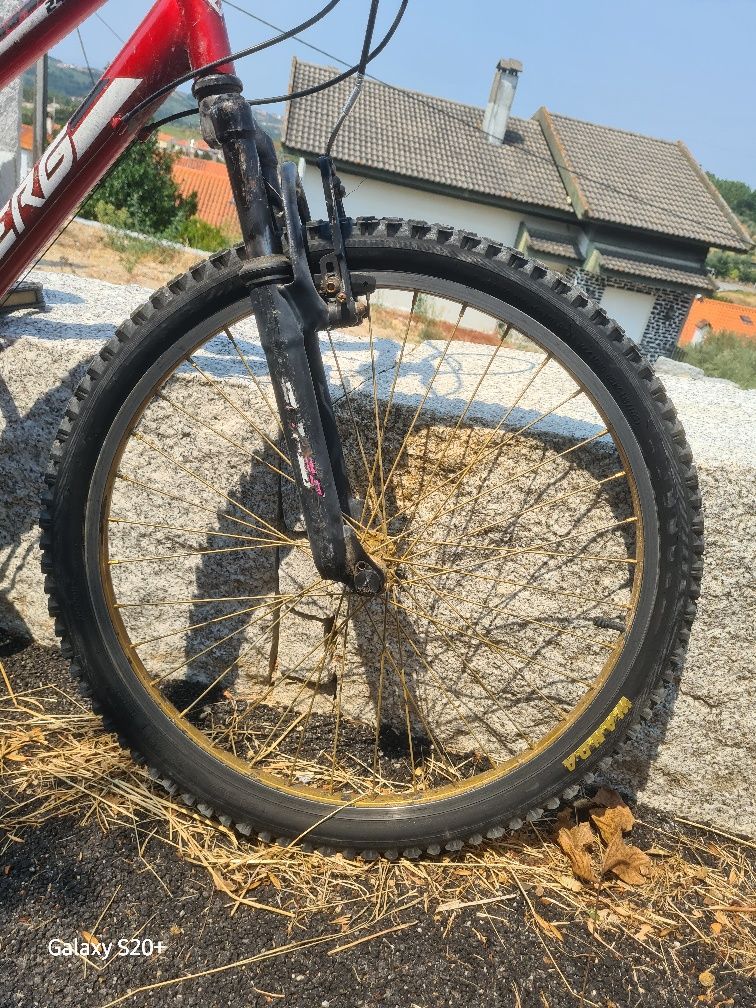 Bicicleta Berg Sem corrente e sem o S