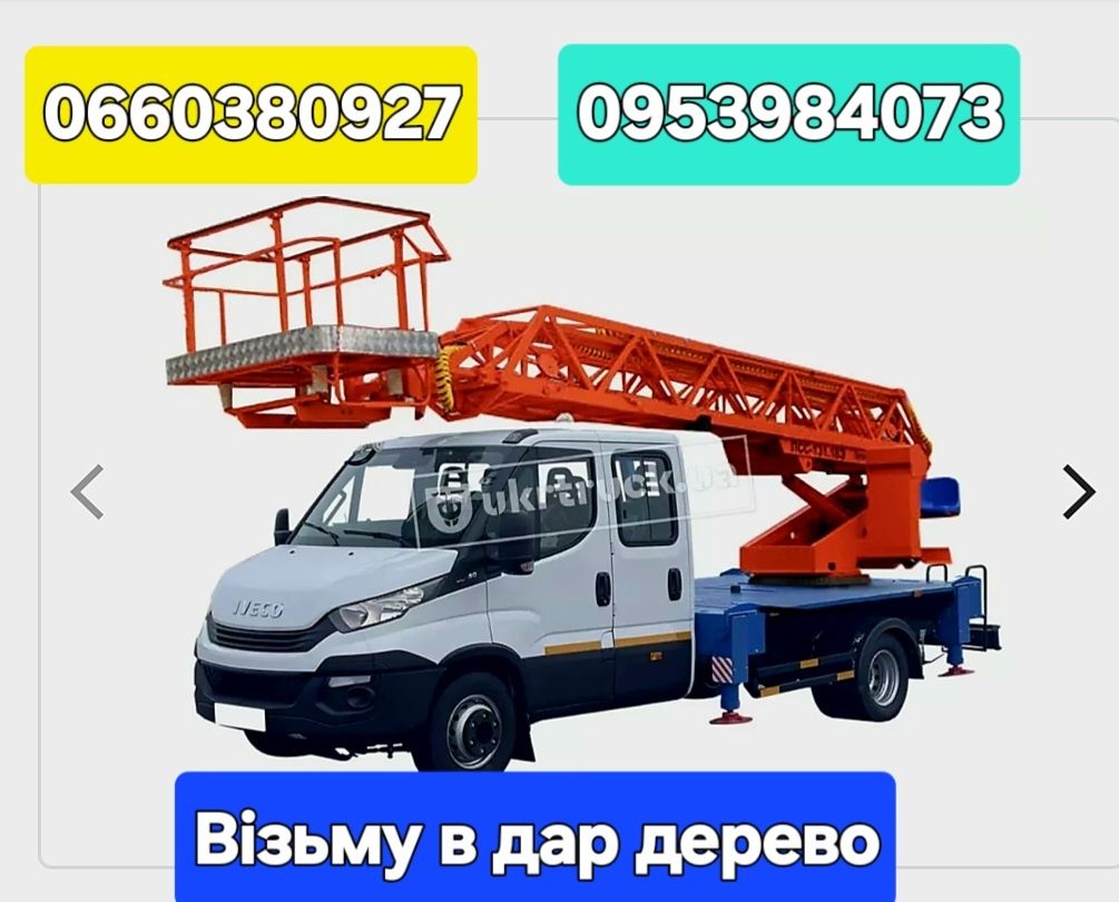 Візьму в дар дерево