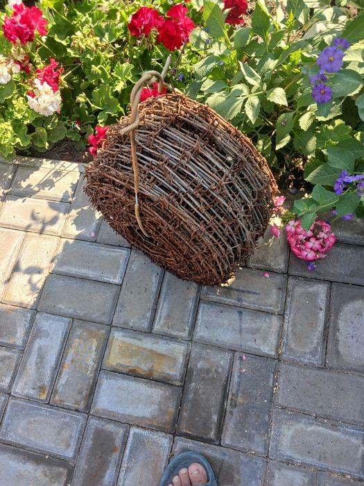 Продам колючий дрід.