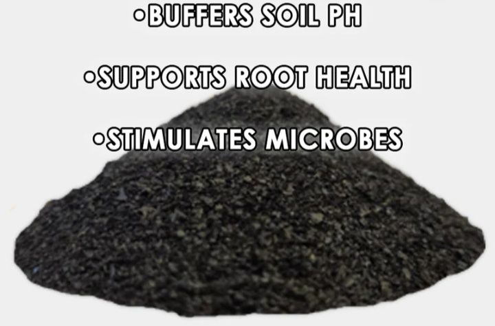 Ácido húmico RAW NPK 1kg