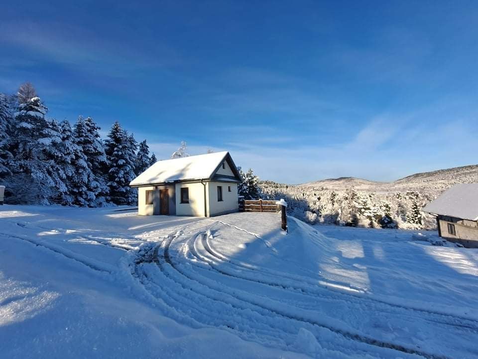 Domek pod lasem z pięknym widokiem Bieszczady.