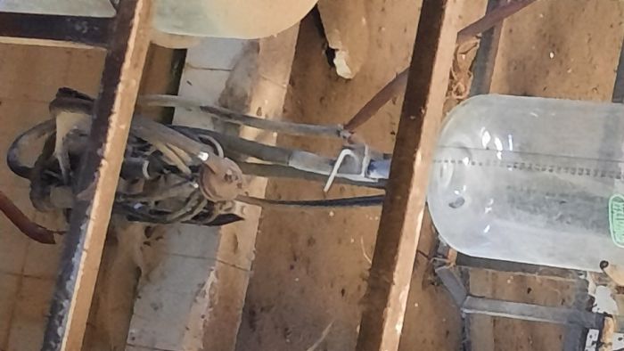 Ordenha de Leite Westfalia CIRCOMAT