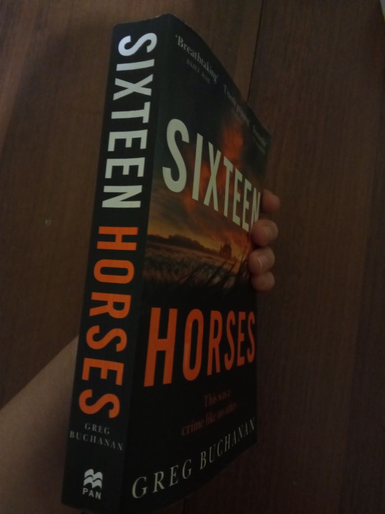 Книга " sixteen horses"