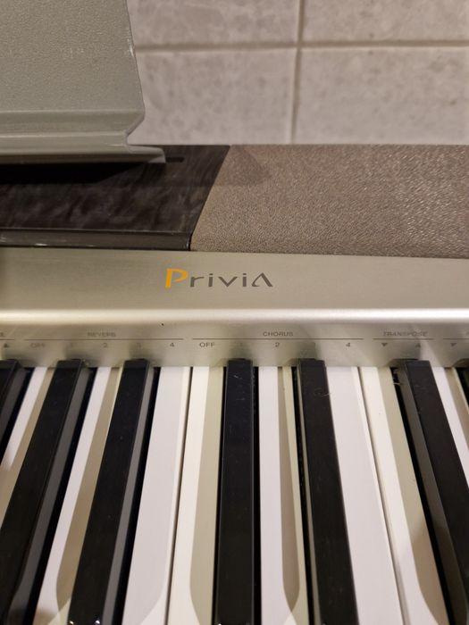 Піаніно цифрове Casio PX-120 Privia