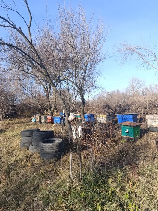 Продам вулики без бджіл