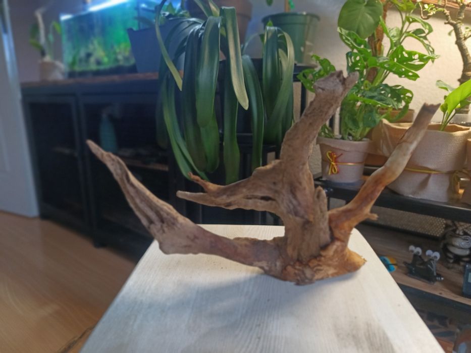 Korzeń do akwarium lub terrarium