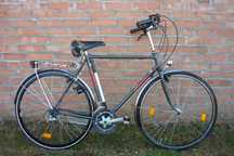 Rower męski Bottecchia - ORYGINALNY