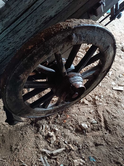 Carro de bois antigo