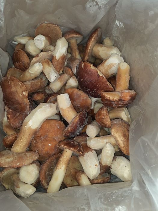 Гриби білі цілі кубик лісові заморожені