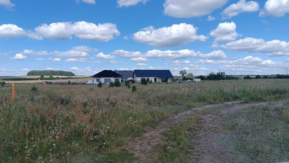 Działka budowlana DĘBNO ul. Chojeńska 1690m2 JESZCZE NOWSZA CENA